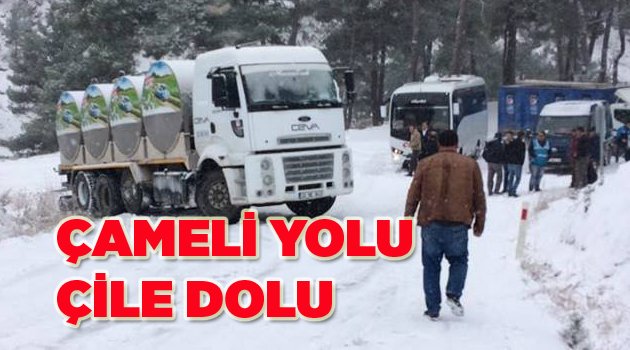 ÇAMELİ YOLU ÇİLE DOLU