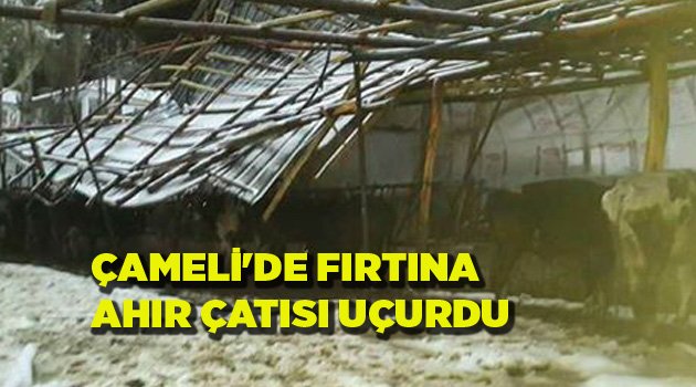 ÇAMELİ'DE FIRTINA AHIR ÇATISI UÇURDU