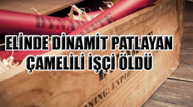 ÇAMELİLİ İŞÇİNİN FECİ ÖLÜMÜ