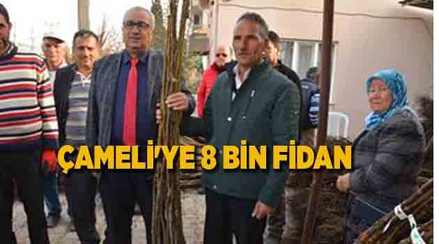 ÇAMELİ'YE 8 BİN FİDAN