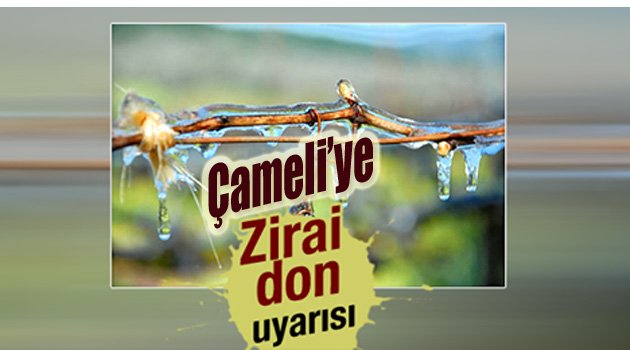 ÇAMELİ'YE 'DON' UYARISI