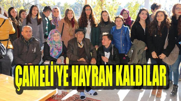 ÇAMELİ'YE HAYRAN KALDILAR