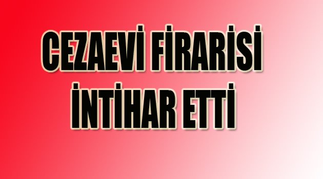 Cezaevi firarisi intihar etti