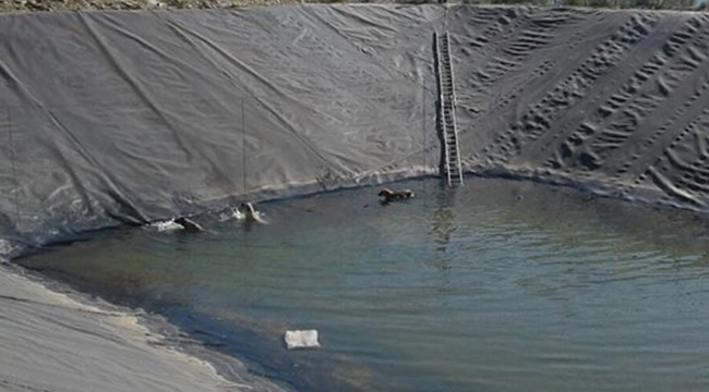 SON ANDA KURTARILDILAR