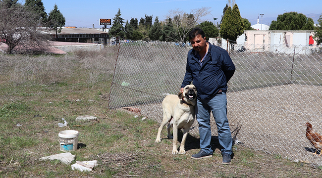 İş yerinden kangal hırsızlığı güvenlik kamerasında