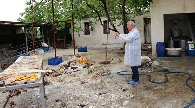 Koku Yayan Sakatat İşletmesine Baskın