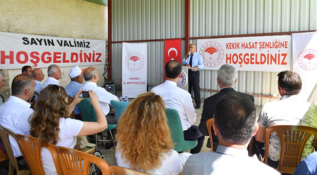 Pamukkalede Kekik Hasadı Başladı