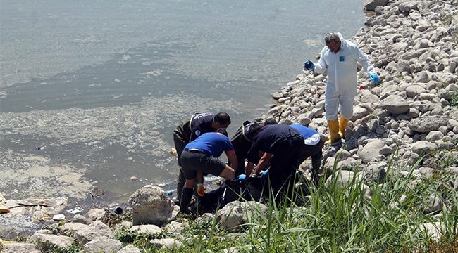 CESEDİ BALIK TUTMAYA GELENLER BULDU