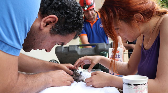 MAHSUR KALDIĞI YERDEN AFAD KURTARDI