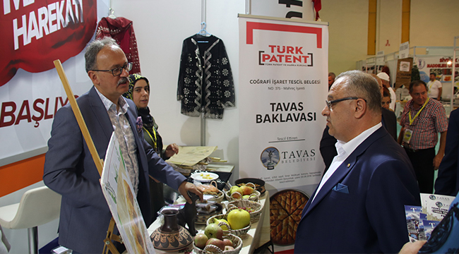 TAVAS BAKLAVASINA HAYRAN KALDILAR