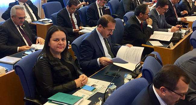 ÖK PLAN VE BÜTÇE KOMİSYONU’NDA KONUŞTU