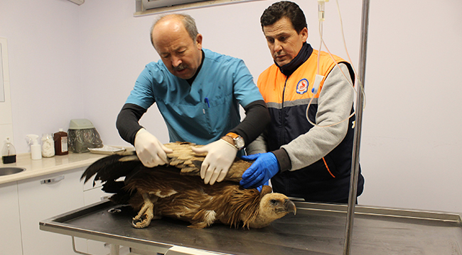 KIZIL AKBABAYA BÜYÜKŞEHİR SAHİP ÇIKTI