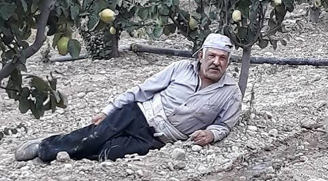 BOZKURT'TA KORKUNÇ OLAY!