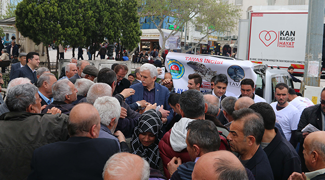 Tavaslı Üreticiden Beyaz Ayçekirdeği Seferberliği