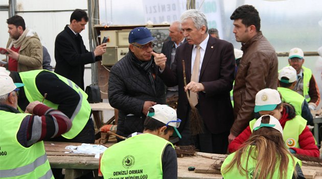 Denizli’den Cevize Büyük Yatırım