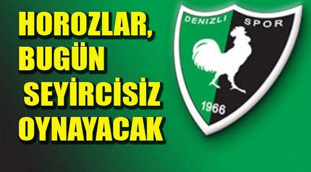 DENİZLİSPOR SEYİRCİSİZ OYNAYACAK