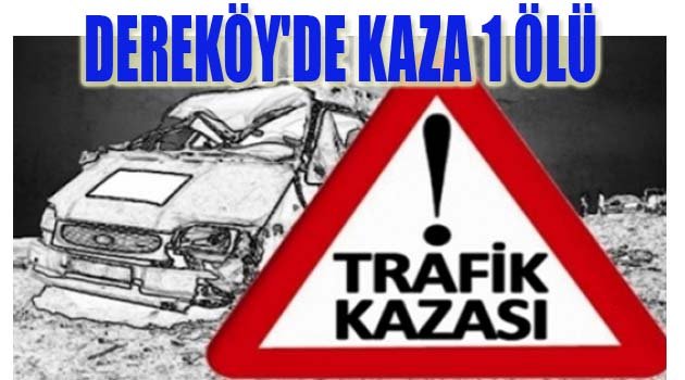 DEREKÖY'DE KAZA 1 ÖLÜ