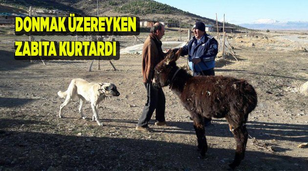 DONMAK ÜZEREYKEN BULUNDU