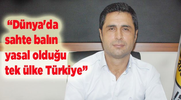 “Dünya'da sahte balın yasal olduğu tek ülke Türkiye”