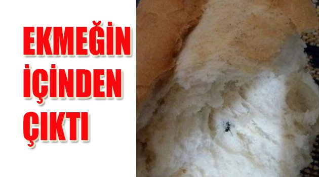 EKMEK BAKKALA İADE EDİLDİ