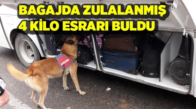 EVLAT, YİNE KAÇAKÇILARA GÖZ AÇTIRMADI