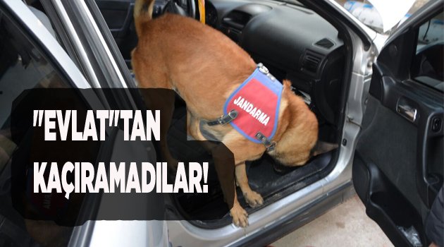 "EVLAT"TAN KAÇIRAMADILAR!