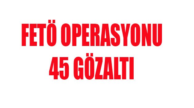 FETÖ OPERASYONU 45 GÖZALTI