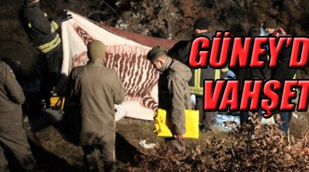 GÜNEY’DE VAHŞET