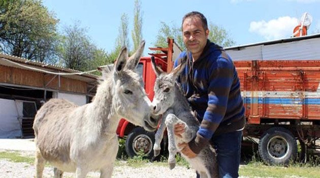 HASTA ANNESİ İÇİN EŞEK ÇİFTLİĞİ KURDU