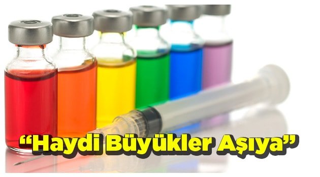 “Haydi Büyükler Aşıya”
