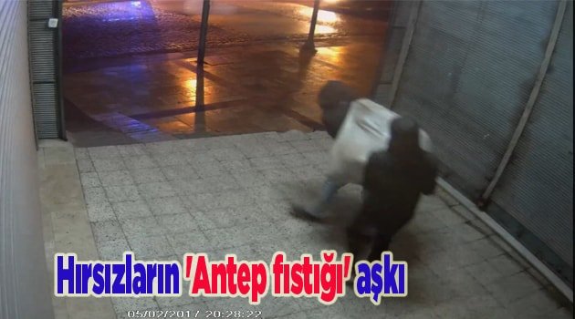 Hırsızların 'Antep fıstığı' aşkı