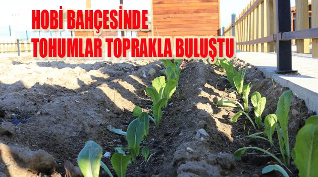 HOBİ BAHÇESİNDE TOHUMLAR TOPRAKLA BULUŞTU