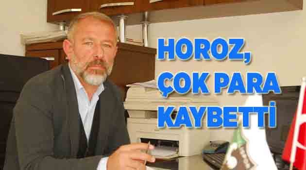 HOROZ, ÇOK PARA KAYBETTİ