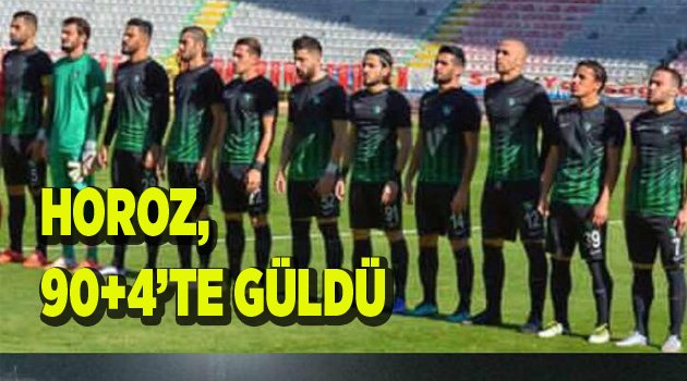 HOROZ, DEVREYİ GALİBİYETLE KAPATTI