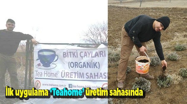 İlk uygulama ‘Teahome’ üretim sahasında