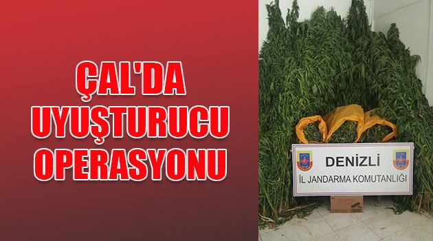 Jandarma'dan Çal'da uyuşturucu operasyonu