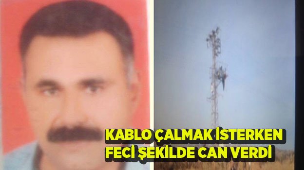 KABLO ÇALACAKKEN DİREĞE ASILI KALDI