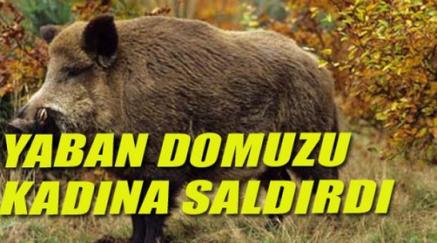 KADIN HASTANEYE KALDIRILDI