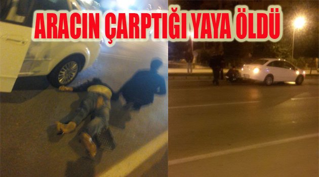 KINIKLI'DA MEYDANA GELDİ