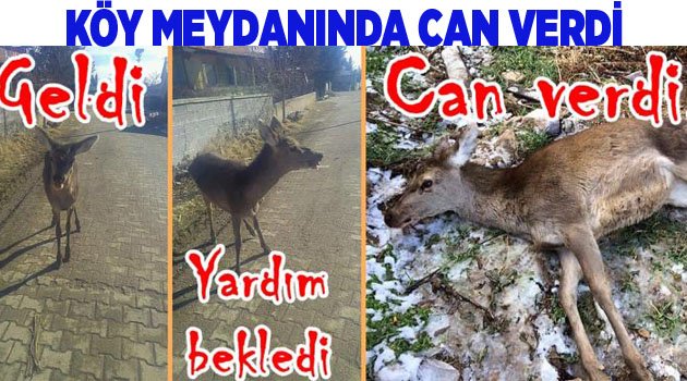 KÖY MEYDANINDA CAN VERDİ