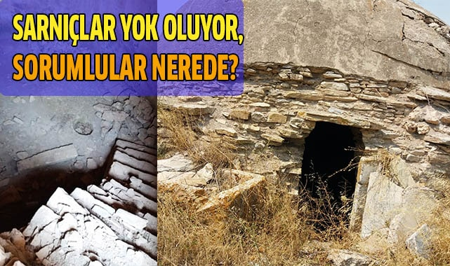 SARNIÇLAR YOK OLUYOR, SORUMLU OLANLAR NEREDE?