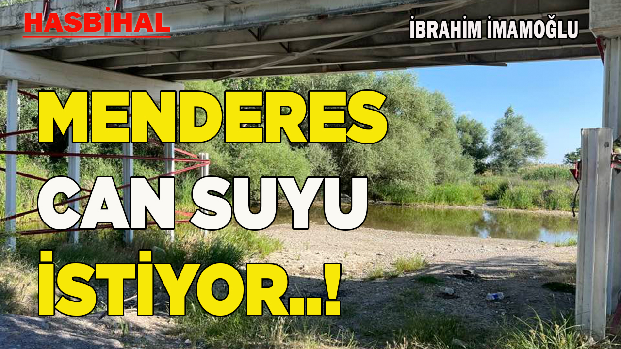MENDERES CAN SUYU İSTİYOR..!