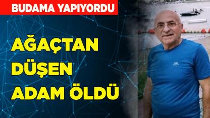 Budama yaparken ağaçtan düşen şahıs öldü
