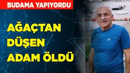 Budama yaparken ağaçtan düşen şahıs öldü