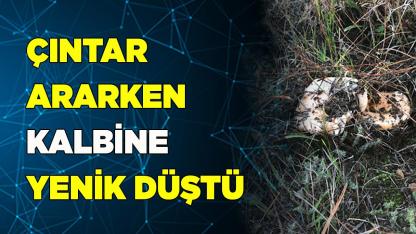Çıntar ararken kalbine yenik düştü