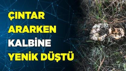 Çıntar ararken kalbine yenik düştü
