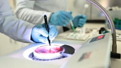 DENÇEV, TÜRKAK denetimini başarıyla tamamladı