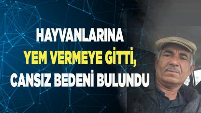 Hayvanlarına yem vermeye gitti, cansız bedeni bulundu