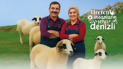 Denizli Büyükşehir’den koyun-koç desteği