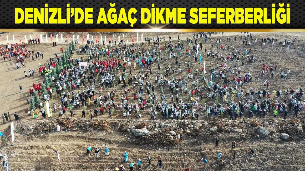 Denizli’de ağaç dikme seferberliği